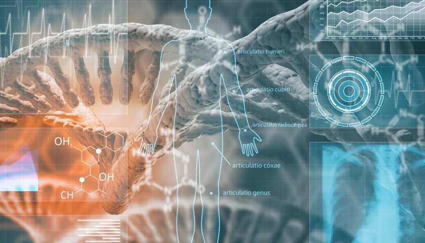 生物医疗草莓视频黄版APP下载